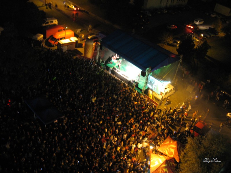 alt Festival
